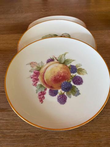 6 bordjes met fruit in prachtige kleuren T Rosenthal beschikbaar voor biedingen