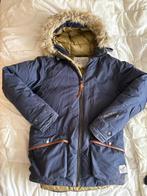 Winterjas Peak Performance, Kleding | Heren, Ophalen of Verzenden, Zo goed als nieuw, Blauw, Peak Performance