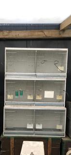 Kweekkooien voor kanaries, Enlèvement, Utilisé