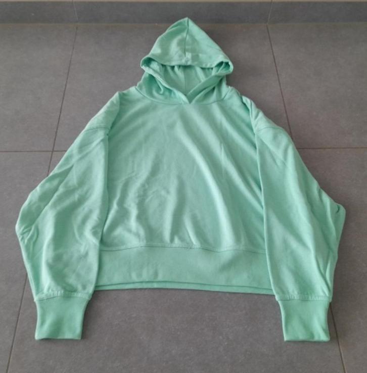 Sweater Bristol nieuw met etiket, Kleding | Dames, Truien en Vesten, Nieuw, Maat 38/40 (M), Groen, Ophalen of Verzenden