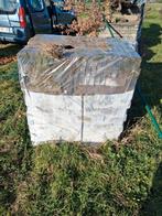 Pallet bakstenen, Doe-het-zelf en Bouw, Ophalen, Bakstenen