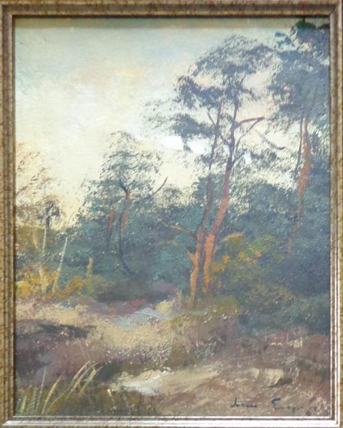 LEON ENGELEN / HEIDELANDSCHAP / OLIEVERF DOEK / 49x43cm KAD, Antiek en Kunst, Kunst | Schilderijen | Klassiek, Ophalen of Verzenden