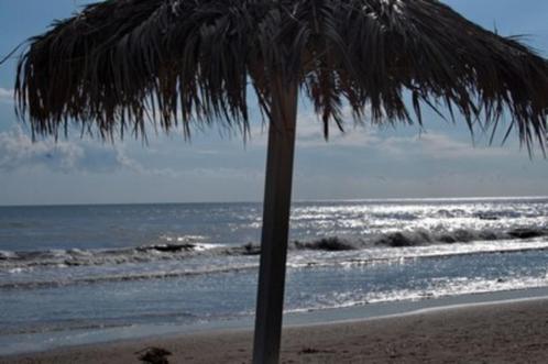 De eerste 2 weken van juli aan de Adriatische kust!, Vakantie, Vakantiehuizen | Italië, Rome en Midden-Italië, Appartement, Stad