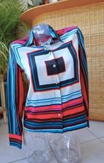 kleurrijk ’70-ties vintage look uniek blouse, Kleding | Dames, Blouses en Tunieken, Overige kleuren, Miss Sixty, Ophalen of Verzenden