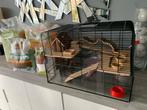 Grande cage pour hamster+accesoires,nourritures et copeaux, Enlèvement ou Envoi, Comme neuf, Cage, Hamster