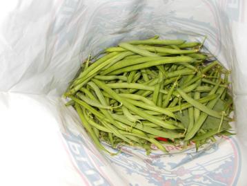 Haricots verts frais de princesse à vendre 4 €/kilo