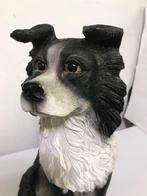 Border Collie Hond Beeld H 36 x B 27😍🐶💑🎁🤗👌, Ophalen of Verzenden