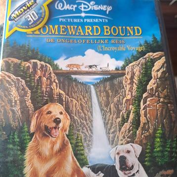 Homeward bound dvd in nieuwstaat krasvrij 3eu  beschikbaar voor biedingen