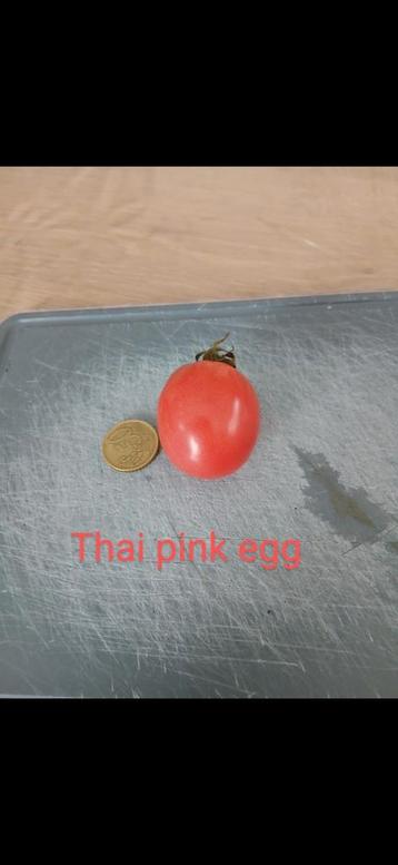 Tomaten Soorten per 10 zaden  beschikbaar voor biedingen