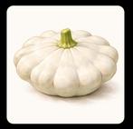 Zaden van de witte patisson, Tuin en Terras, Bloembollen en Zaden, Ophalen of Verzenden