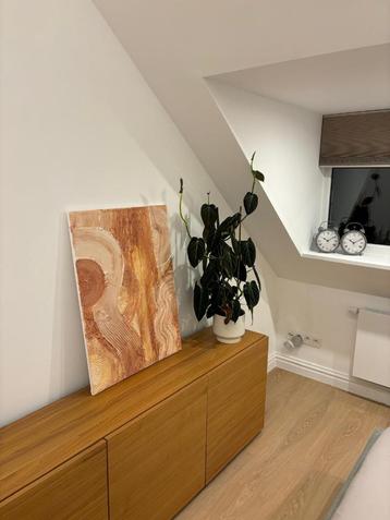 TV-meubel, wandkast van Natuzzi (2 stuks) beschikbaar voor biedingen