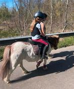 Verzorger/verzorgster gezocht voor shetlander, Dieren en Toebehoren, Pony's, Merrie, Zadelmak, A pony (tot 1.17m), 3 tot 6 jaar