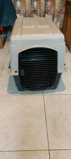 Cage de transport pour grand chien, Animaux & Accessoires, Enlèvement, Utilisé