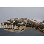 Snake Python Giant 15 meter - Slang decoratie polyester, Verzamelen, Dierenverzamelingen, Nieuw, Ophalen