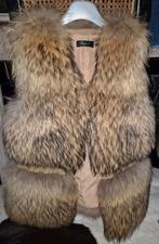 Vossenbont gilet maat 36 a 38, Ophalen of Verzenden, Zo goed als nieuw, Maat 36 (S)