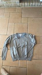 Pull very simple maat medium, Kleding | Dames, Truien en Vesten, Ophalen of Verzenden, Zo goed als nieuw