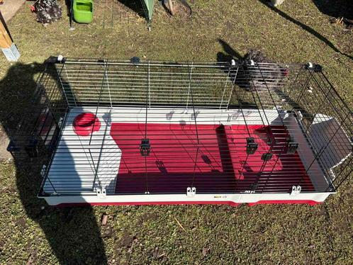 Cage à Lapin, Dieren en Toebehoren, Knaagdieren en Konijnen | Hokken en Kooien, Zo goed als nieuw, Kooi, Konijn, Ophalen