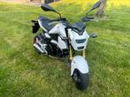 Honda MSX 125, Particulier, 125 cc, 11 kW of minder, 1 cilinder