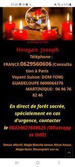 Voyance medium paris 06 29 56 06 06 marabout vaudou belfort