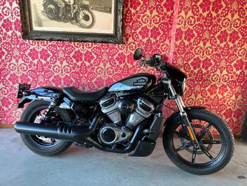 harley davidson nightster 975 1700km  met garantie beschikbaar voor biedingen