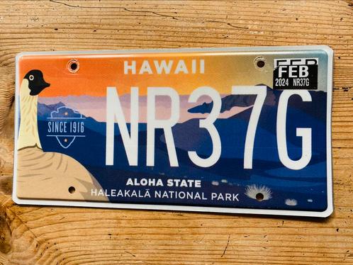 Amerikaanse nummerplaat/nummerplaten Hawaii USA, Verzamelen, Automerken, Motoren en Formule 1, Ophalen of Verzenden
