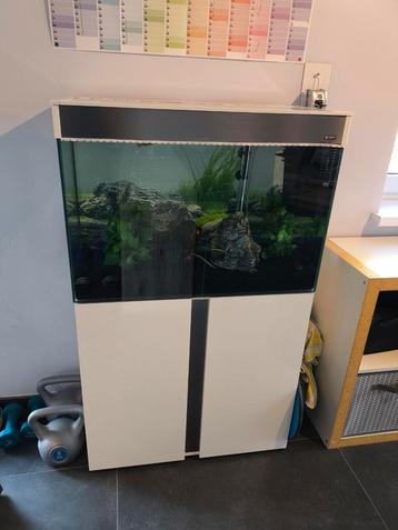 Aquarium Ciano 120 litres + meuble et accessoires  disponible aux enchères