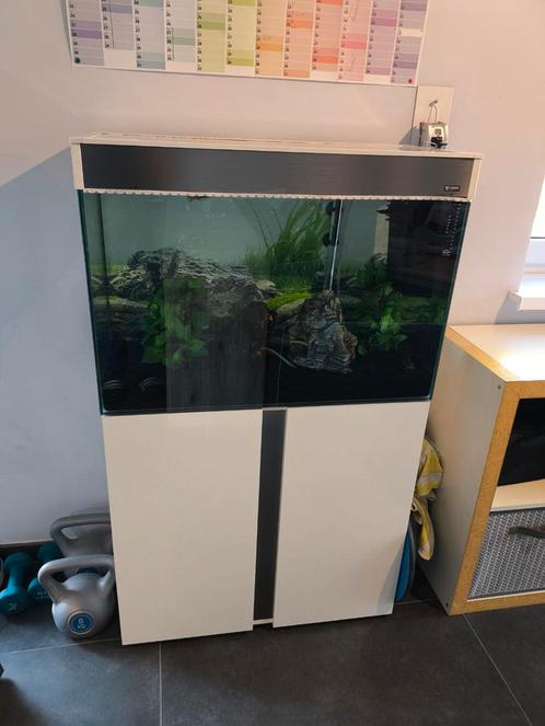 Aquarium Ciano 120 litres + meuble et accessoires, Animaux & Accessoires, Poissons | Aquariums & Accessoires, Comme neuf, Enlèvement