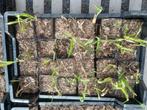 plantgoed, Ophalen