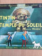 Tintin et le temple du soleil, Tintin, Utilisé