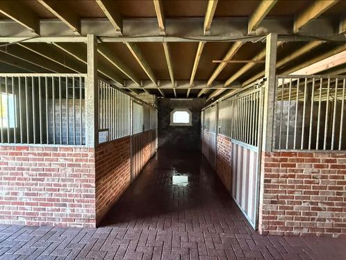 Zadelmakmaken doorrijden verkoop van paarden en ponys, Dieren en Toebehoren, Stalling en Weidegang, Stalling, 4 paarden of pony's of meer