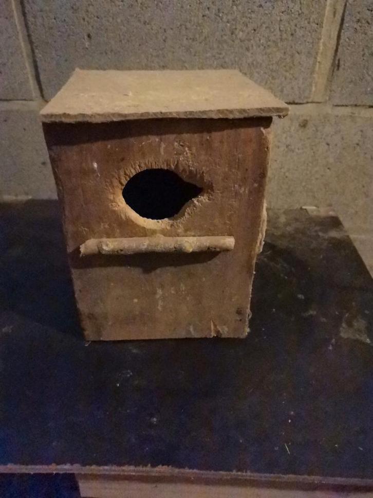 Parkieten nestkast, Dieren en Toebehoren, Vogels | Parkieten en Papegaaien, Dwergpapegaai of Agapornis, Geslacht onbekend