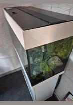 Juwel aquarium 125 l, Enlèvement