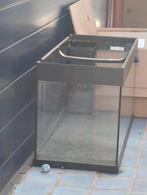 Gratis aquarium zonder deksel met barst vanonder, Dieren en Toebehoren, Ophalen, Zo goed als nieuw
