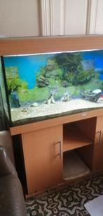 Jewel aquarium, Dieren en Toebehoren, Ophalen, Gebruikt, Gevuld zoetwateraquarium