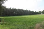 Landbouwgrond te koop, Immo, Verkoop zonder makelaar, 1500 m² of meer, RAVELS