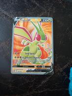 FLYGON C.