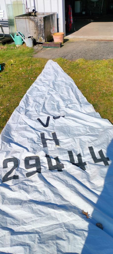 Zeilen Vaurien, fok en grootzeil, Watersport en Boten, Zeilen en Zeiltoebehoren, Gebruikt, Grootzeil, Minder dan 15 m², Ophalen