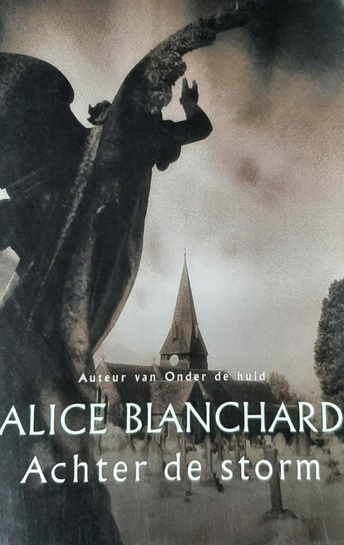 Te koop:Leuke thriller "Achter de storm" van Alice Blanchard, Boeken, Thrillers, Zo goed als nieuw, Ophalen