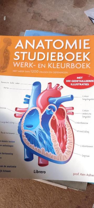 Anatomie studieboek, werk en kleurboek, als nieuw beschikbaar voor biedingen