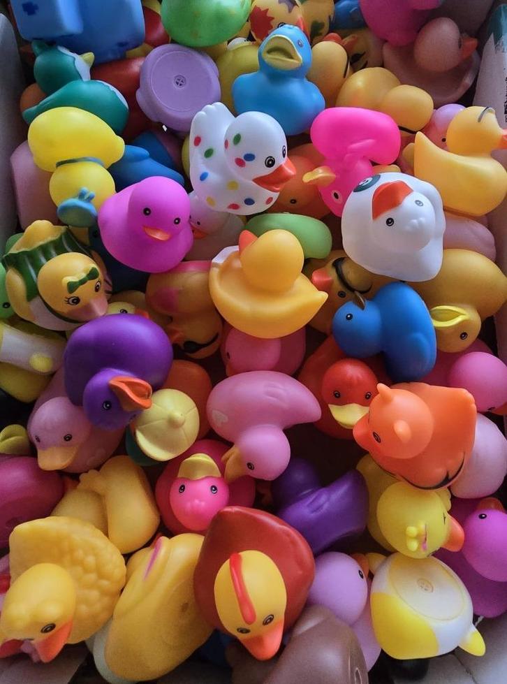 Eendjes, Kinderen en Baby's, Speelgoed | Overig, Nieuw, Ophalen of Verzenden