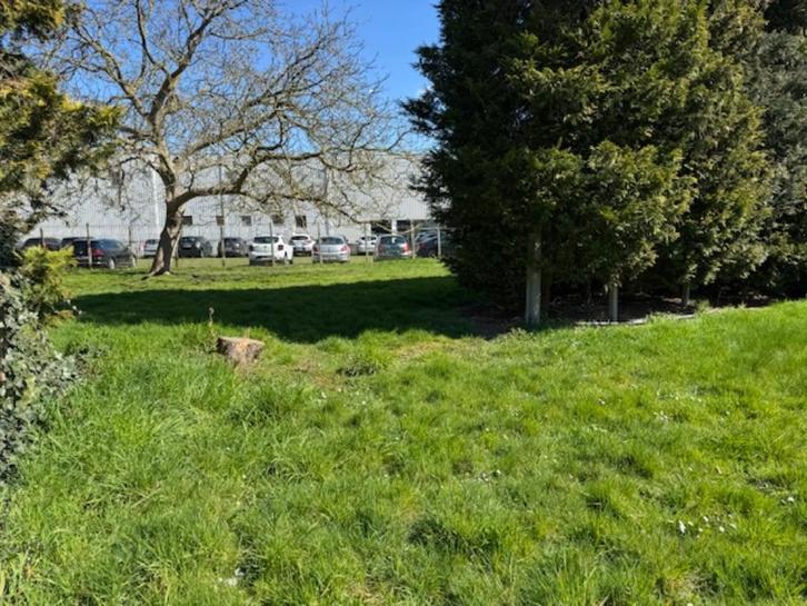 Te koop projectgrond in Hamme Centrum, Immo, Gronden en Bouwgronden, 200 tot 500 m²