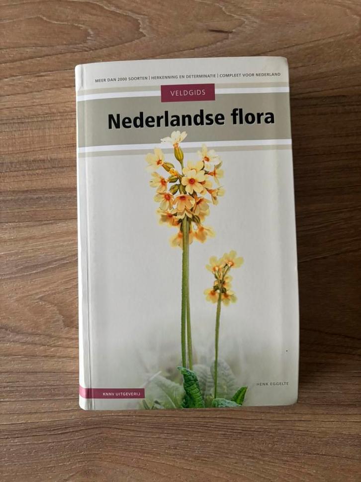 Henk Eggelte - Veldgids Nederlandse flora, Boeken, Wonen en Tuinieren, Ophalen