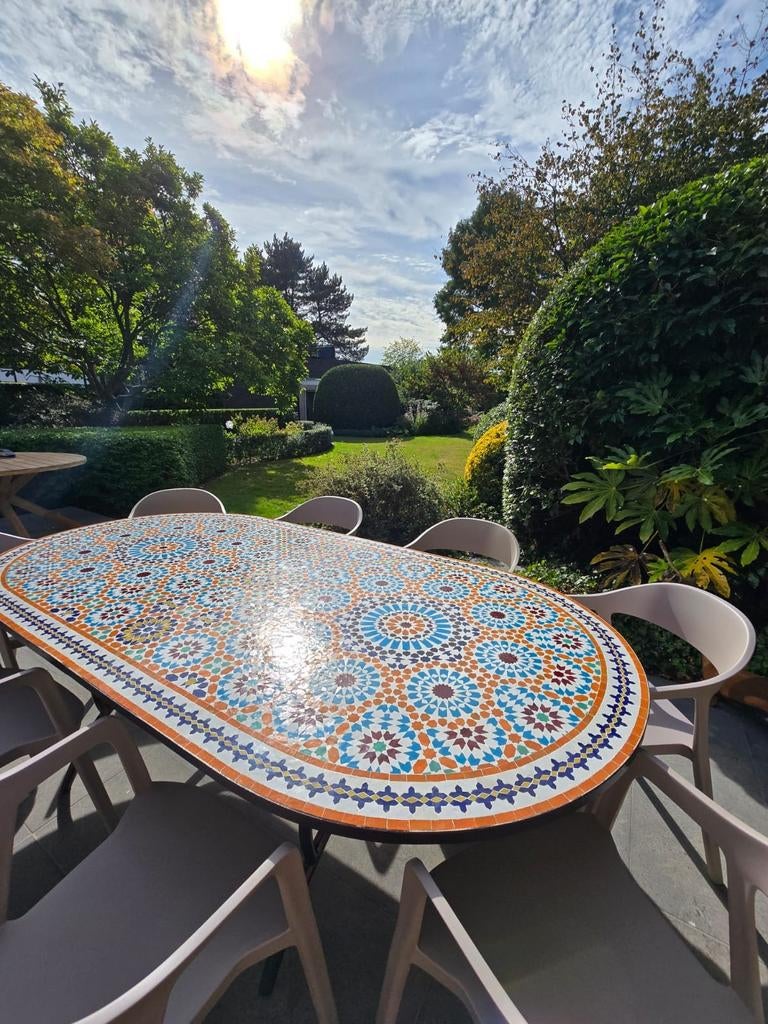 Mozaïektafel ovaal 225 x 115 cm / beschadigd, Zellige mozaïek, 100 à 150 cm, Enlèvement, Utilisé