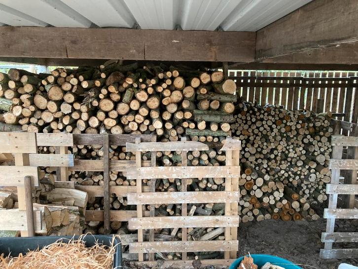 Brandhout, Tuin en Terras, Brandhout, Ophalen