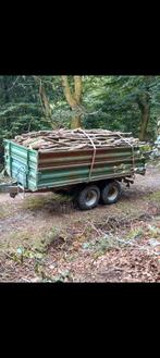 Branches de hêtre, Jardin & Terrasse, 6 m³ ou plus, Enlèvement, Hêtre, Branches