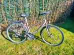 Fiets Giant Expedition, Fietsen en Brommers, Ophalen, Versnellingen, Giant, 53 tot 56 cm