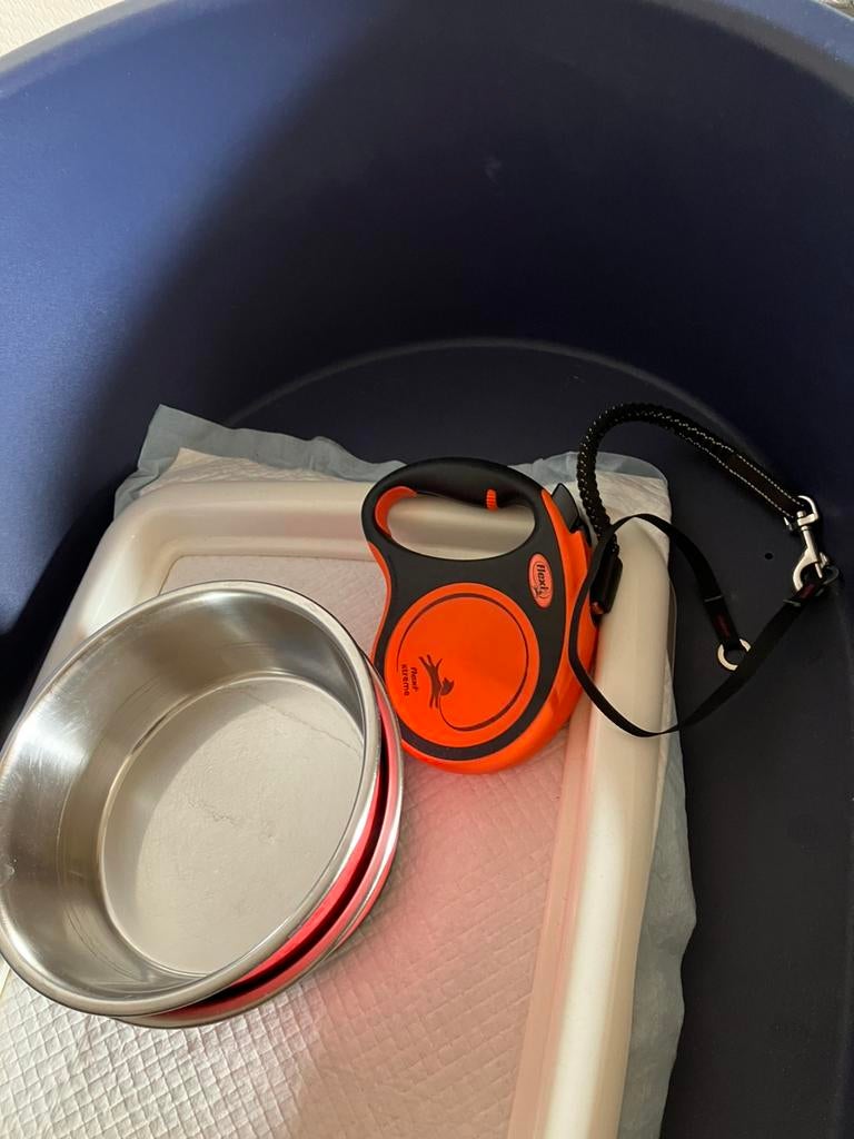 Drinkbakken en leiband 5 m, Dieren en Toebehoren, Ophalen, Zo goed als nieuw