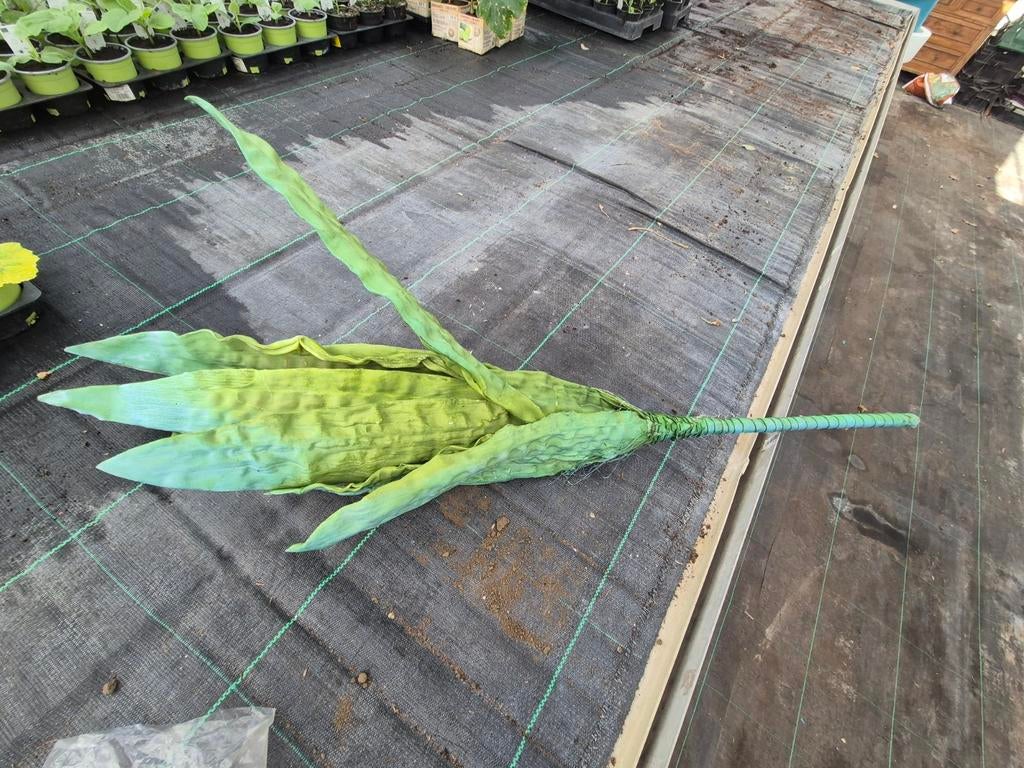 Foam bloemen, Ophalen