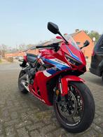 Honda CBR650R E-Clutch, 2500 km, 2024, Motoren, Motoren | Honda, 4 cilinders, Motorrijbewijs A, Super Sport, Particulier