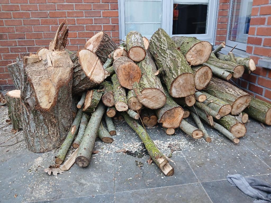 Vers brandhout knotwilg, Tuin en Terras, Brandhout, Minder dan 3 m³, Ophalen, Overige houtsoorten, Stammen